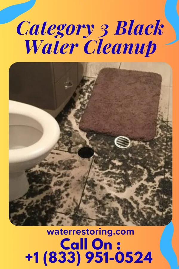Category 3 Black Water Cleanup in Tunica Resorts, MS