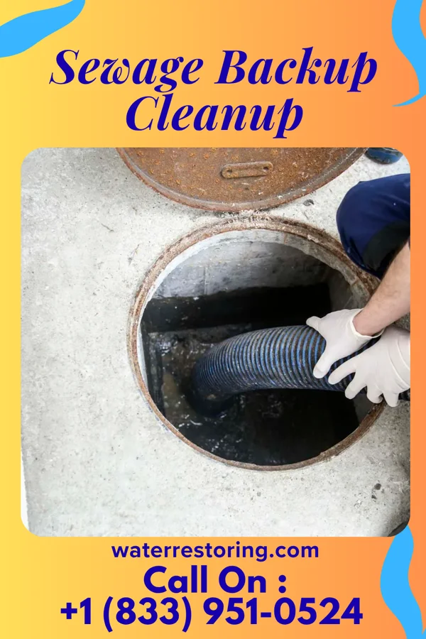 Sewage Backup Cleanup in Tunica Resorts, MS